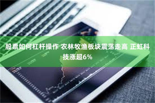 股票如何杠杆操作 农林牧渔板块震荡走高 正虹科技涨超6%