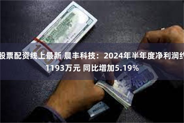 股票配资线上最新 晨丰科技：2024年半年度净利润约1193万元 同比增加5.19%