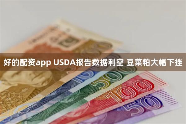 好的配资app USDA报告数据利空 豆菜粕大幅下挫