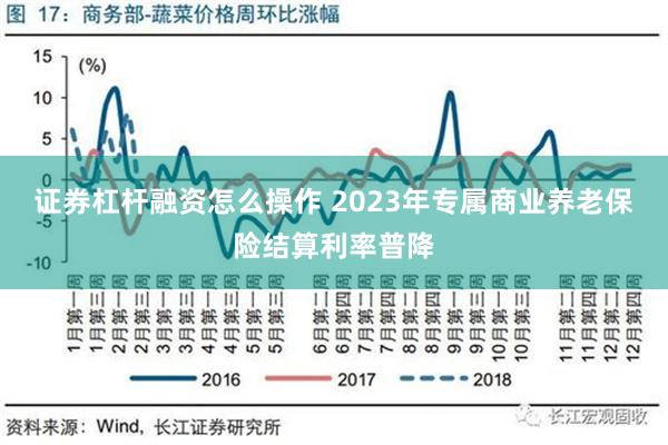 证券杠杆融资怎么操作 2023年专属商业养老保险结算利率普降