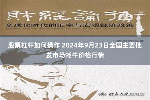 股票杠杆如何操作 2024年9月23日全国主要批发市场牦牛价格行情