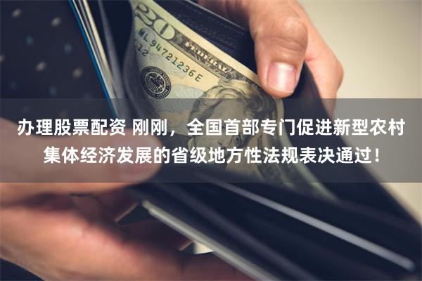 办理股票配资 刚刚，全国首部专门促进新型农村集体经济发展的省级地方性法规表决通过！