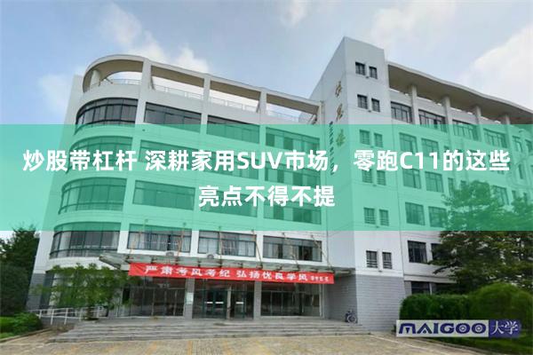 炒股带杠杆 深耕家用SUV市场，零跑C11的这些亮点不得不提