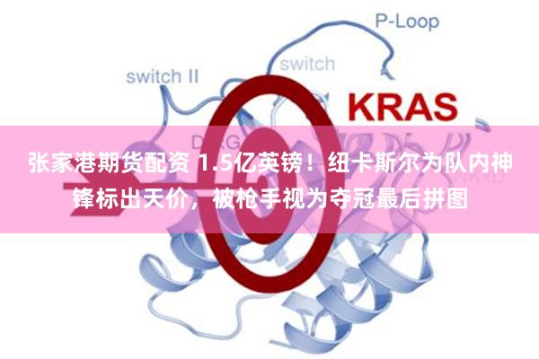 张家港期货配资 1.5亿英镑！纽卡斯尔为队内神锋标出天价，被枪手视为夺冠最后拼图