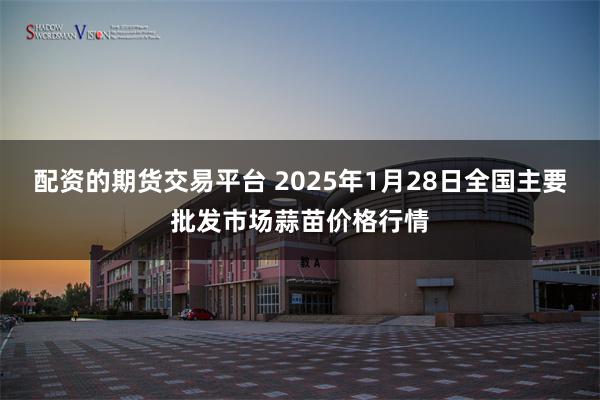 配资的期货交易平台 2025年1月28日全国主要批发市场蒜苗价格行情