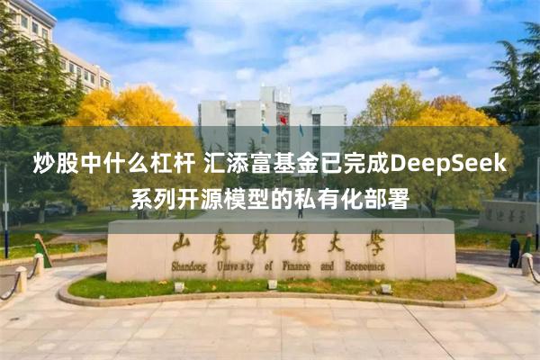 炒股中什么杠杆 汇添富基金已完成DeepSeek系列开源模型的私有化部署