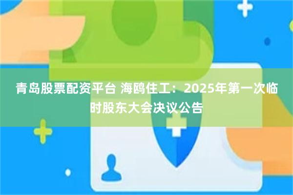 青岛股票配资平台 海鸥住工：2025年第一次临时股东大会决议公告
