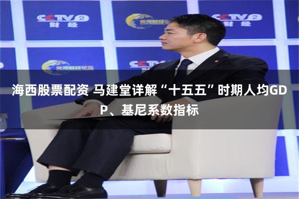 海西股票配资 马建堂详解“十五五”时期人均GDP、基尼系数指标
